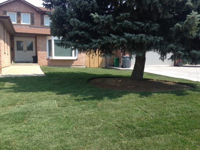 Grading, Sodding & Excavation